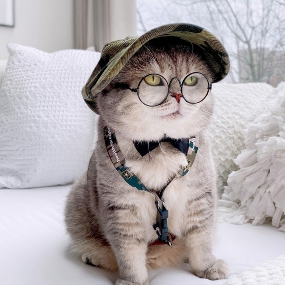 Meet your Posher, Daniel - Picture 1 of 1